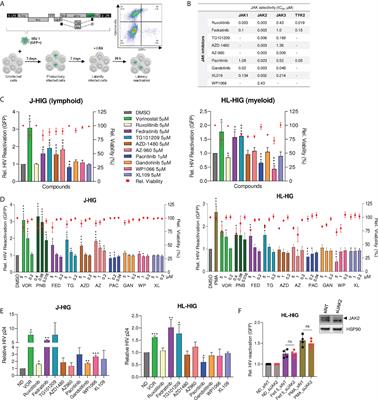IRF7 expression correlates with HIV latency reversal upon specific blockade of immune activation